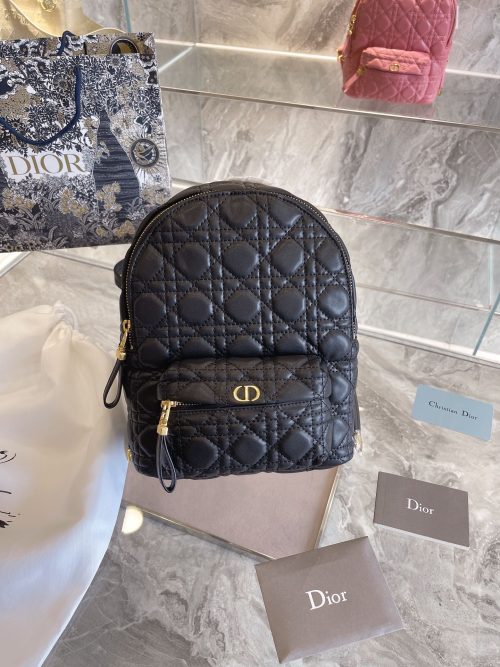 Christian Dior Dioramour Backpack