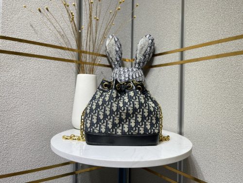 Christian Dior 2way chain Shoulder crossbody Bag