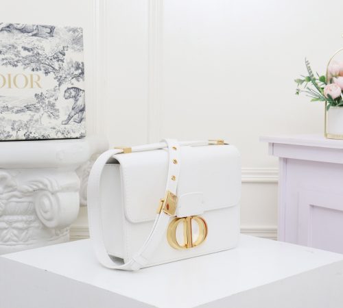 Dior 30 Montaigne Bag