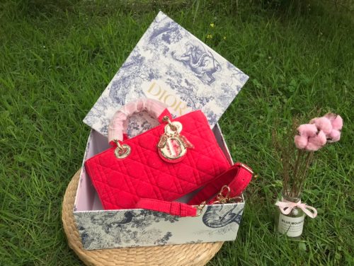 Small Dioriviera Lady D-Joy Bag