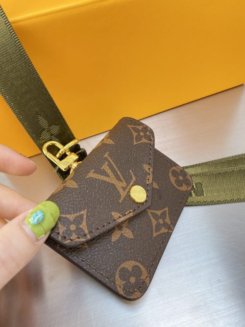 Louis Vuitton Félicie Strap and Go Monogram