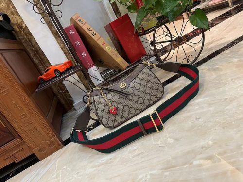 GUCCI Ophidia handbag