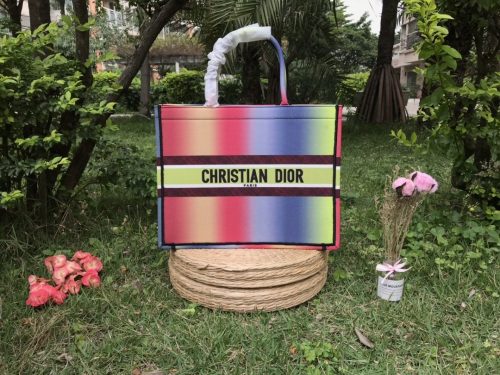 Dior Book Tote