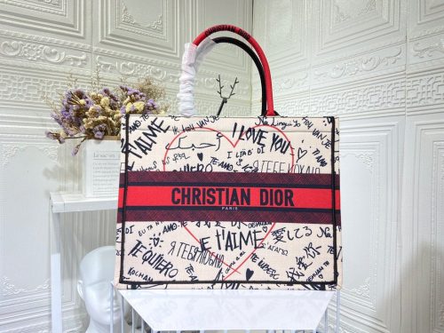 DIOR BOOK TOTE BAG
