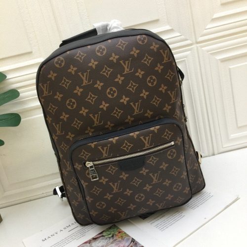 Louis Vuitton Back Pack