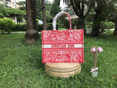 Dior Book Tote