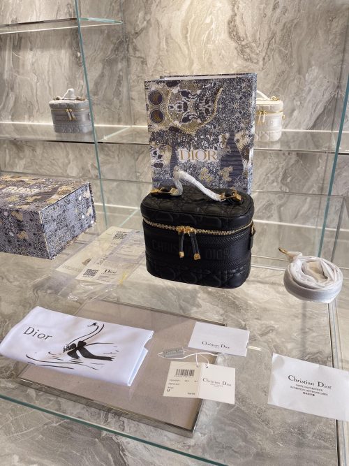 DIOR Small Diortravel Vanity Case
