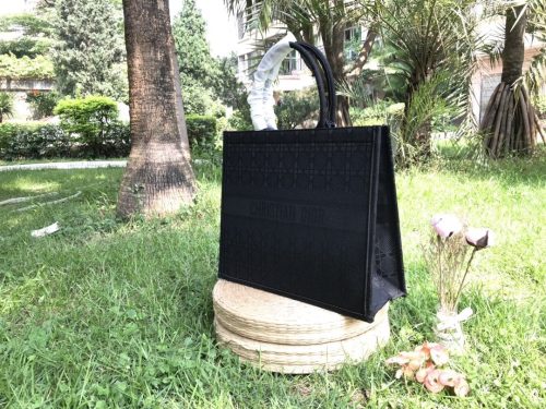 DIOR  Women Black Messenger Bag