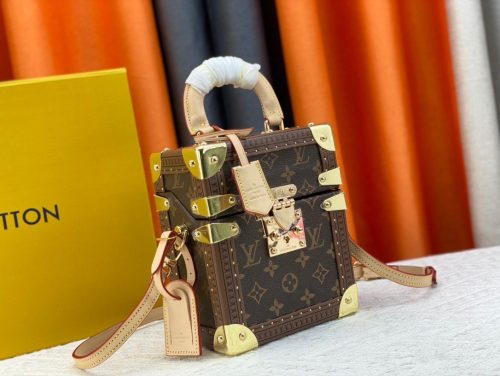 Louis Vuitton Monogram Camera Box Bag