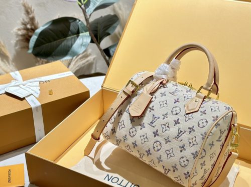 Louis Vuitton Speedy