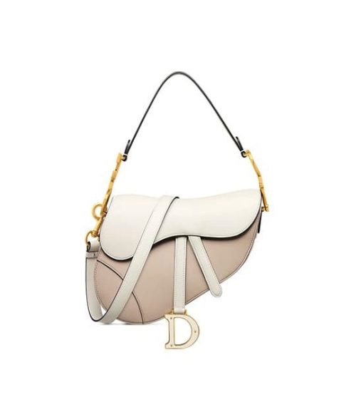 Dior Saddle Bag with Strap