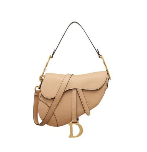 Dior Saddle Bag with Strap